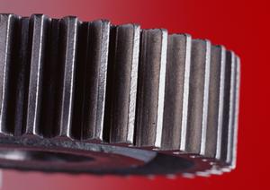 新しいシーズニングで料理を変える!フードビジネスのための調味料活用法ガイド